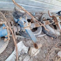 تنكير أوربي • رمادي