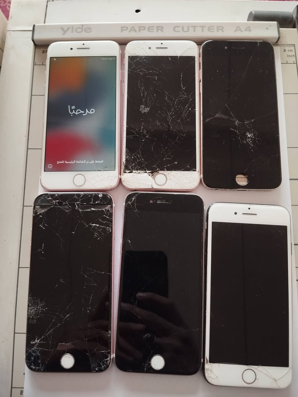 للبيع ٦ قطع ايفون فحم ما مفحوصات.. السعر 50 قفل.. موجود خاص


**إذا كنت صاحب هذا الإعلان وتريد حذفه لأي سبب، رجاءا أرسل رسالة إلى الدعم الفني**
