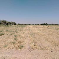 دونمين ٢ • المحطة ابونور • شارع عام