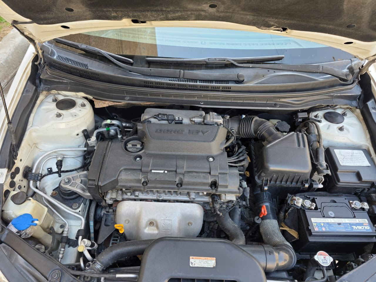 السلام عليكم النترا 2010 خليجي  رقم بغداد بأسمي محرك 2000 سلايد  بيه بارد باب السائق وإصبعين بارد ممبين بالحامل الأمامي عكس السائق بدون صبغ  الدعامية الاماميه بيه تكحيل ماشيه١٢٣ ألف شرط التحويل  السعر ١١٨  مكان السياره بغداد رقم/***********
