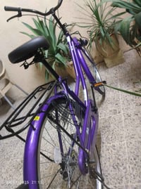 باسكل • نضافه • عبدالحليم