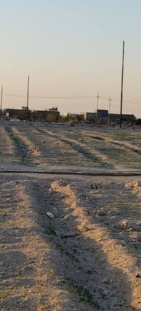 دونم ونص • طريق الخور سفوان • كهرباء