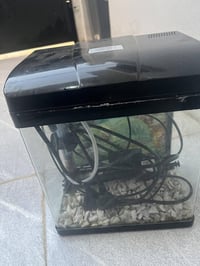 حوض سمك • هيتر • اغراض كاملة