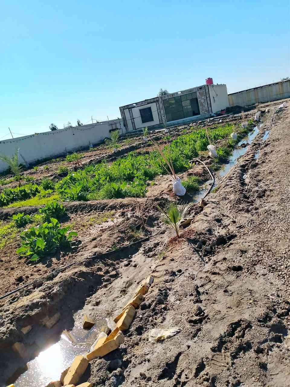 دونم مسيج بلوك مع دنك صب مع مشتمل جاهز للسكن 
مساحه 50في50 حي جوادين بين نزله ثالثه وثانيه 
سعر 100مليون
***********
