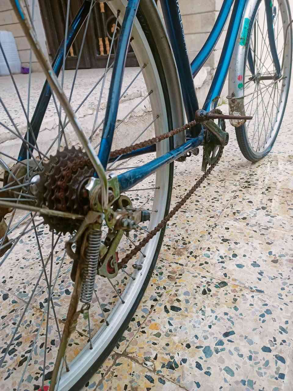 للبيع 
عبدالحليم حجم 26 لون ازرق كير 7 نمر 
تايات جديده قفل تايه خلفي


**إذا كنت صاحب هذا الإعلان وتريد حذفه لأي سبب، رجاءا أرسل رسالة إلى الدعم الفني**