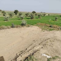 5  دونم مع بيت بناء جديد مع بستان مثمر 07726507869