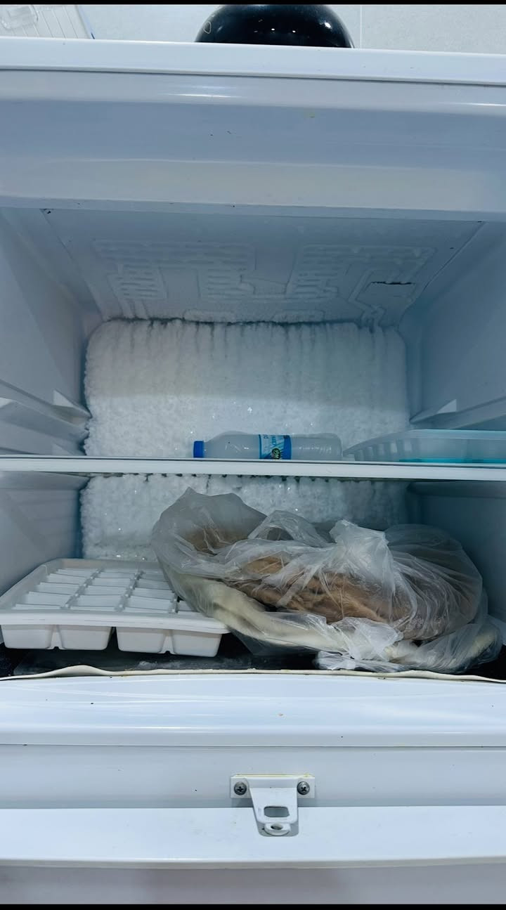 اعادة النشر بسبب الوعود الكاذبة
ثلاجة كبيرة نوعية كونكورد للبيع السعر 275


**إذا كنت صاحب هذا الإعلان وتريد حذفه لأي سبب، رجاءا أرسل رسالة إلى الدعم الفني**