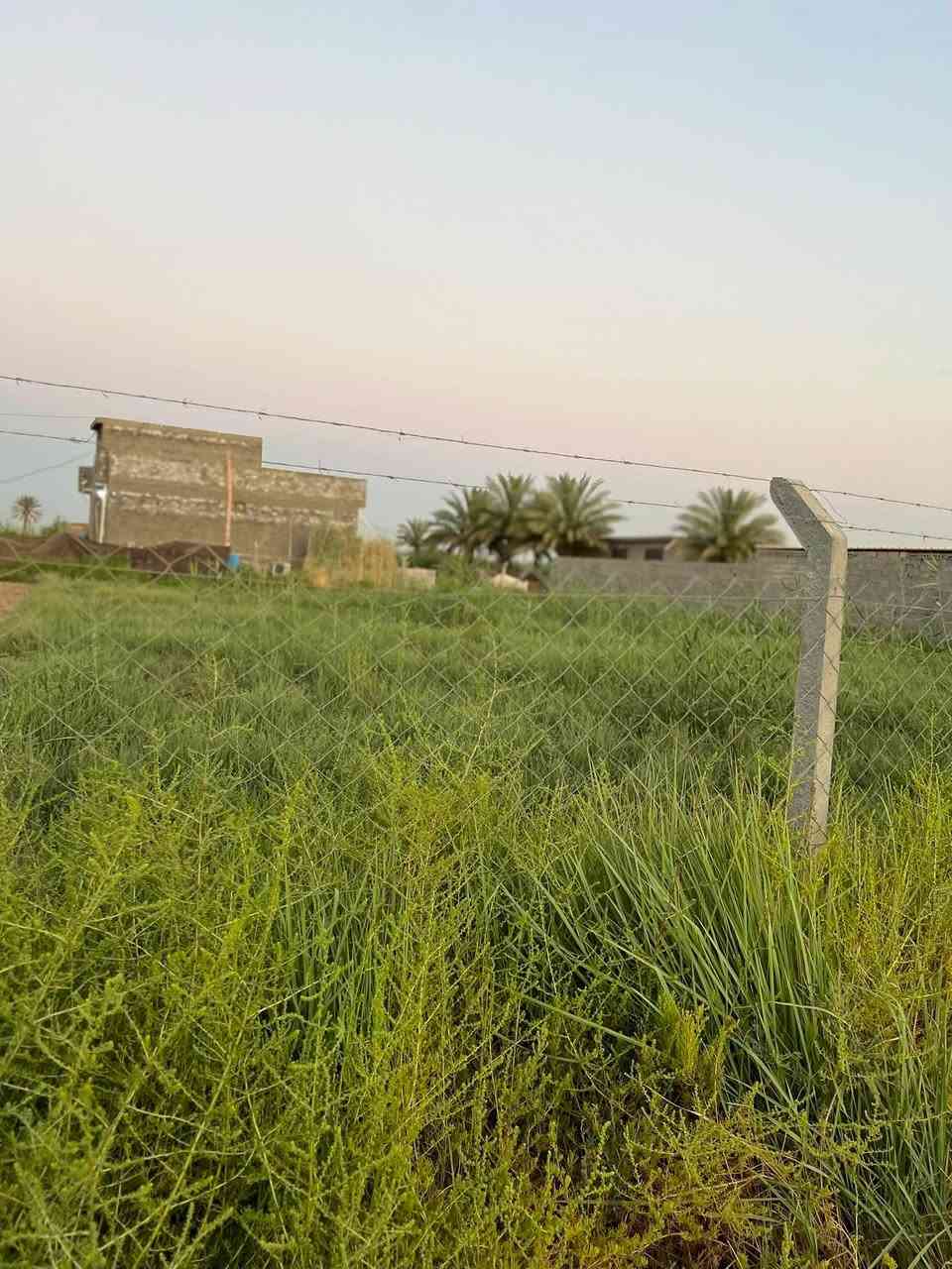✅نص دونم للبيع طابو زراعي ٢٥ تحويل مباشر باسم المشتري 

✅ الواجهة ٣٠ متر كافه الخدمات ماء كهرباء 

الموقع طريق كربلاء نجف عمود ١١٤١ منطقة الجذار 

السعر ٥٠ مليون وبيه مجال للشراي للاستفسار الاتصال ***********
