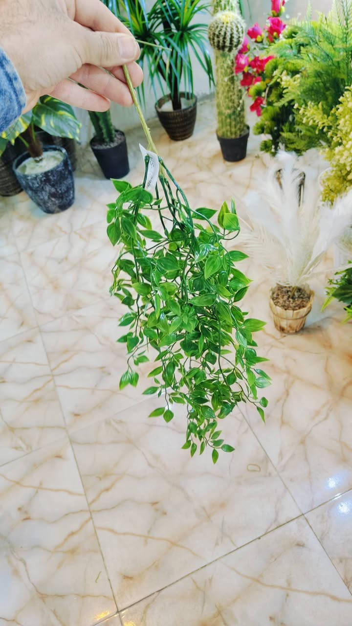 .اشكال وموديلات مختلفه من الأشجار الصناعيه🌳 ترضي جميع الأذواق🌴مقاسات مختله...
عنوان المحل #واسط قضاء #النعمانيه 
 الشيشان الجديد الشارع الرابع
    محل الغيث للتسويق المنزلي


**إذا كنت صاحب هذا الإعلان وتريد حذفه لأي سبب، رجاءا أرسل رسالة إلى الدعم الفني**