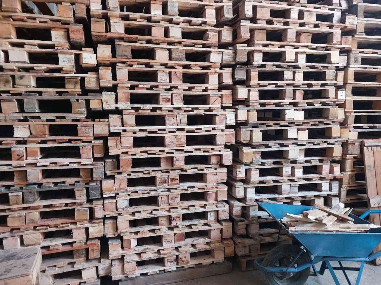 سكيب ستندر 100 ×120 المكان بغداد كسره وعطش 

الرقم ***********
