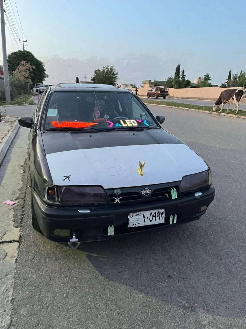 نیسان بلیمەر 1992
ئاڕمی پلاستیک سۆران بەشەرت 
مەکینە ۲۰ 
بەشەرتی گێڕو مەکینە فیتەر
کارەبای مەزبوتە 
کامل ئەشیای تەبریت پێوەیە بەس غازی نەقسە
جوانکاری بۆکراوە
تایەو ویلی لۆکە 
18 گەڵاو معاملە
لە سلێمانیم 
*********** السليمانية, العراق
