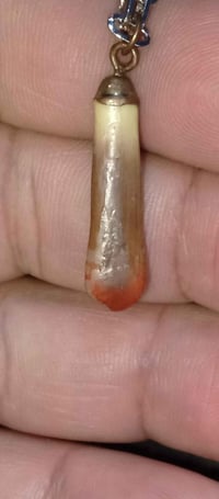 قلادة • عطف • كربلاء