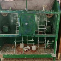 قفص • ديكور منزلي