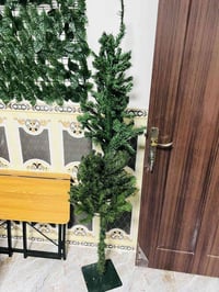 شجرة • ارتفاع ١٨٠ • زينة حديقة