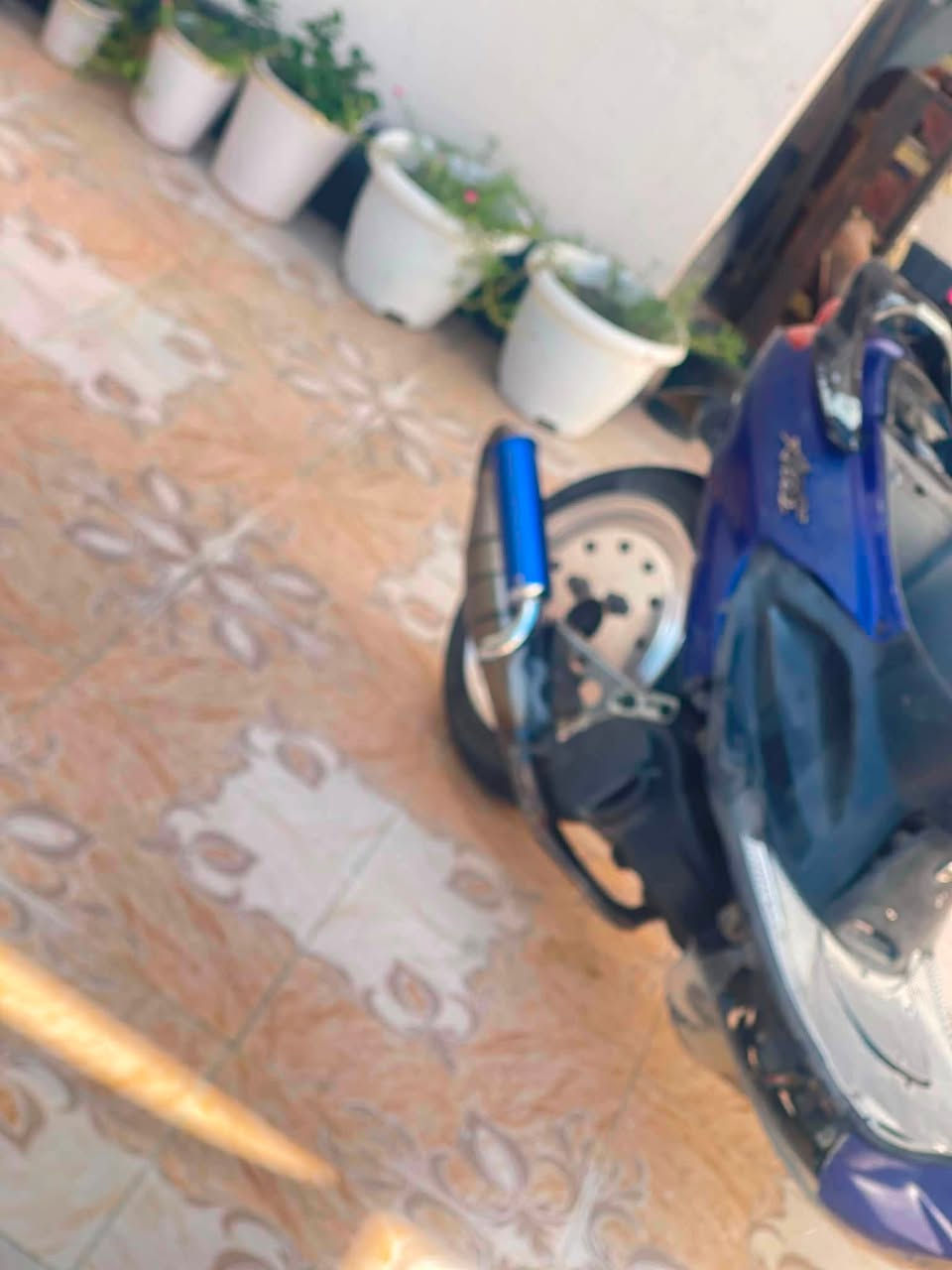 سلام عليكم شباب
دراجه اكزز للبيع 

تزويد ويل بلادي من اليابان 

نضافه عامه 

صالنصه حلزوني 

عقل رياضي 

هورن رياضي 

دشبول رياضي 

سبايدر رياضي لد 

قبق كلجات رياضي 

مع كابريتر قفاز رياضي 

السعر 450 وبيه مجال للشراي 

تواصل خاص او اتصال 📱 

📞 ***********

📞 ***********
