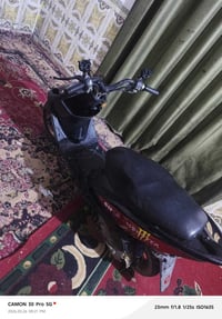 ماكس عدلة • طفت • مراوس فراشة فحل