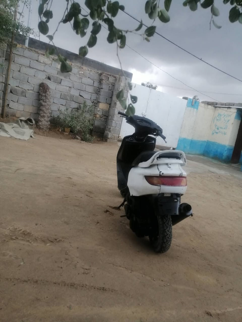 البيع فراشه فحل سعر خاص


**إذا كنت صاحب هذا الإعلان وتريد حذفه لأي سبب، رجاءا أرسل رسالة إلى الدعم الفني**