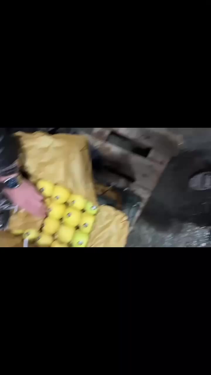 السلام عليكم
الى بكاكيل محافظة واسط الكوت بشرى سارى 
توفر زرع درجة اولر مشروط الحمار والحلا  زرع بس ايراني 
( سويت مجموعه بيها بكاكيل وتجار ومزارعين محافظة واسط https://chat.whatsapp.com/GzQWRc1RsLo5Vs3vK09P4x?mode=hq2tcla)


**إذا كنت صاحب هذا الإعلان وتريد حذفه لأي سبب، رجاءا أرسل رسالة إلى الدعم الفني**