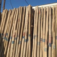 تكم • ٣٠٠ • كربلاء