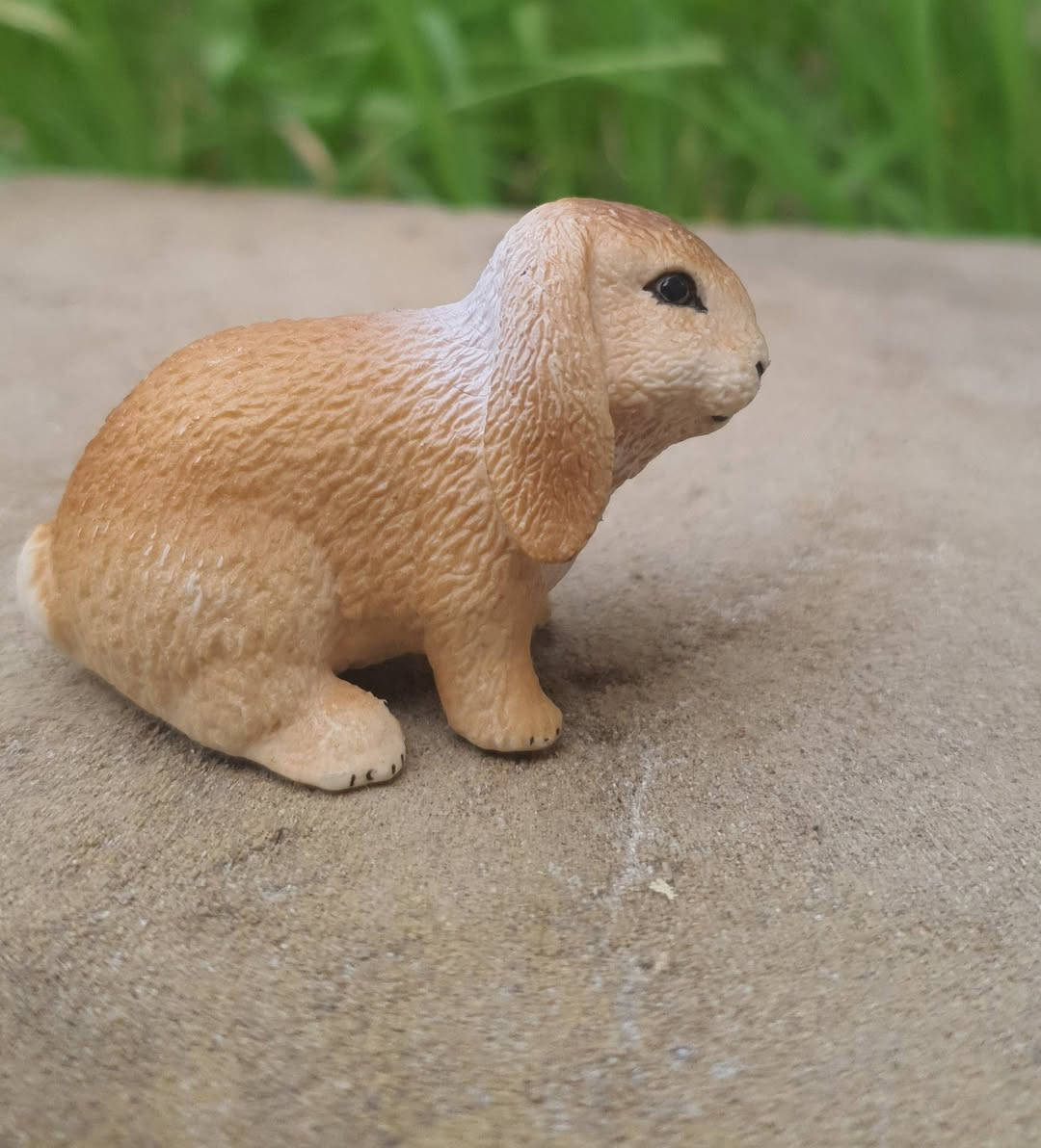 شلايش 
اي قطعه سعره 5 🌱🤍


**إذا كنت صاحب هذا الإعلان وتريد حذفه لأي سبب، رجاءا أرسل رسالة إلى الدعم الفني**