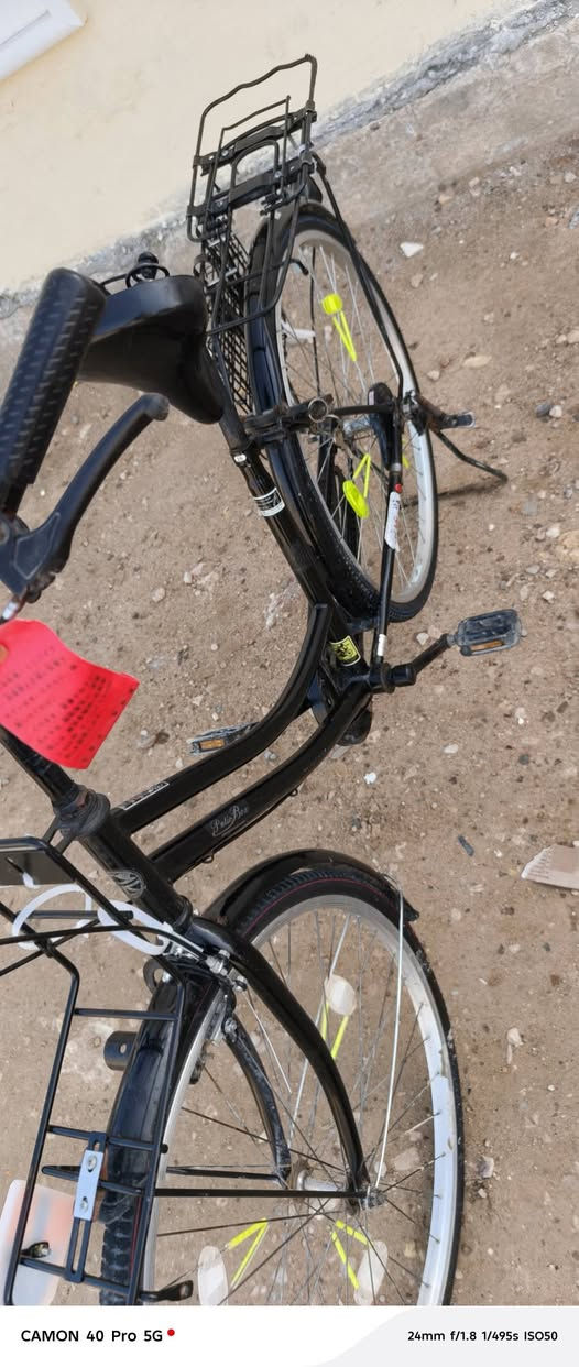 السلام عليكم
باسكل للبيع الموديل 2020

باسكل جاهز 

النضافه 80 ب 100 

العنوان النجف مقابل قريه الغدير 

بشارع المطحنه 

السعر 110 وبي مجال قليل 

حك الجيه
الرقم للاتصال 
***********
