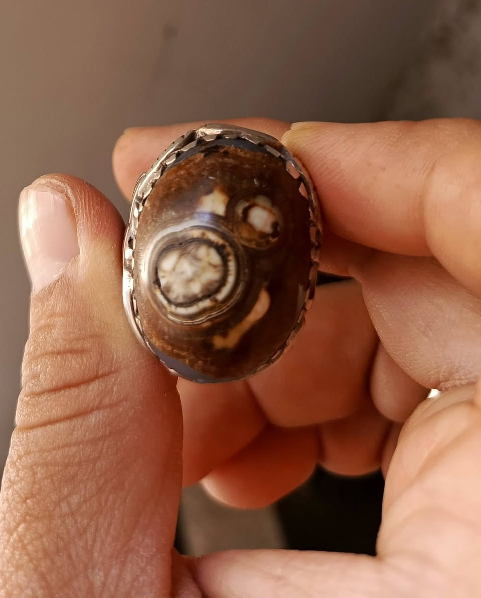 السلام عليكم ورحمه الله وبركاته محبس داودي كلش قديم الى درجه والسياقه تكيل  اللبيع السكن بغداد والي يحب يتقدمه ينتصل ع الرقم ***********

