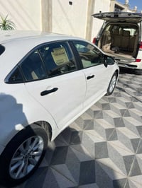 / كورلا خليجي 2023 ساز (SAS) رقم اربيل  وسنوية جديدة تحويل أو وكاله ثا...