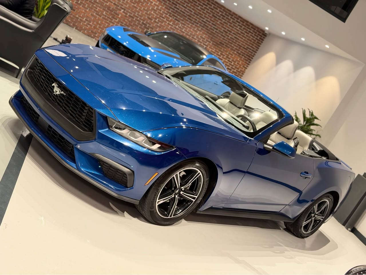 سلام عليكم
2024 mustang ecoboost premium
فول مواصفات
شاشة قطعة وحدة
داخل ابيض
حادثها جاملغ و بونيد ارباك ستيرن مرجع بلادي
ماشية الفين ميل 
رقم كاتي يترقم سليمانية اربيل دهوك 
سعرها ٢٢٥$ 
مكان سليمانية
رقم تلفون  *********** viber whatsup السليمانية, العراق
