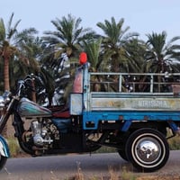 ستوته • 2014 • مكفول