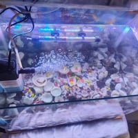 حوض سمك • مع ملحقاته • النجف