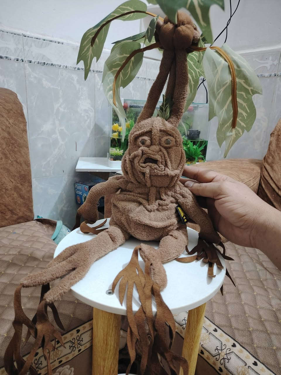 دمية ما ندريك من سلسلة هاري بوتر حجم 55 سم مخمل + هيكل معدني قابل للطي قطعه اصليه ترخيص نوبل كولكشن


**إذا كنت صاحب هذا الإعلان وتريد حذفه لأي سبب، رجاءا أرسل رسالة إلى الدعم الفني**