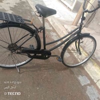 باسكل • ٢٠١٦ • ديالى بعقوبه