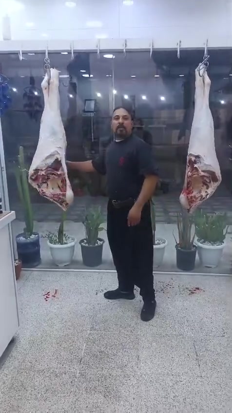 بسم الله الرحمن الرحيم يالله
ليوم الخميس ٢ يعلن مطعم الماجد و قصابه الماجد عن بيع الحم عجل عراقي 
عنوان المسيب حي المعلمين مجاور اسواق الباشا   
***********
