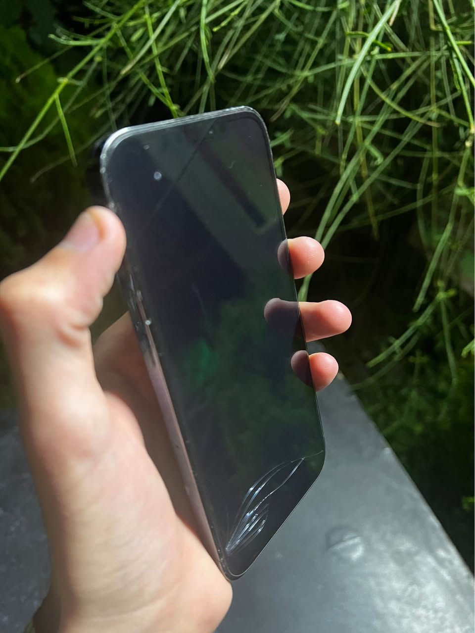 Iphone 12 pro max بۆ فرۆشتن 
256 Gb 
2 sim 
پشتی شکاوە، شاشەی کەمێک خوارەوە شکاوە، 
سەماعەی خارجی ئیش ناکات 
هیچ حەیبێکی تری نیە تەنها ئەوەندە ❤️ 
 
240$ کەمەک معامەلەی برایانە أربيل, العراق


**إذا كنت صاحب هذا الإعلان وتريد حذفه لأي سبب، رجاءا أرسل رسالة إلى الدعم الفني**