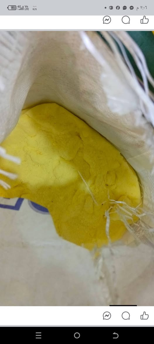 متوفر كبريت زراعي ناعم
النوع عراقي مستخلص من حقل المشراق ( الموصل) 
الصنف ناعم
اشتركو في كروبنا اسمه تجهيزات ( ازرع) متخصص في عرض وبيع جميع انواع البذور والاسمدة والمبيدات المحلية والمستوردة
...........................................
🌱🌱🌱🌱🌱🌱🌱🌱🌱
فوائده
١_ يساعد على التخلص من املاح التربة
٢_ يساعد على تعادل وزيادة الحموضة بالتربة
٣_ يساعد على تحويل اغلب الاملاح الكلسية بالتربة الى املاح بسيطة كملح الطعام مما يسهل غسل التربه والتخلص من الاملاح الصعبة التي لا تذوب بالغسل
٤_ يستعمل لاستصلاح الاراضي الميتة
🌳🌳🌳🌳🌳🌳🌳🌳🌳
الوضائف العامة للكبريت
١_ يدخل في تركيب الاحماض الامينية والهرمونات النباتية
٢_ يدخل في تكوين الزيوت الطيارة كما في البصل والثوم ويعطي طعم ورائحة قوية للخضروات والفواكه
٣_ يساعد على تكوين الكلورافين
🦗🕷🐜🐛🕸🐝🦗🐜🐛
اهميته
١_ يقضي على الافات التي تعيش بالتربة وحتى الاشجار والنباتات من خلال الرش والسقي 
٢_ يعمل على تحسين قوام التربة الصلبة وجعلها هشة وسهلة النفاذية للماء والاحتفاض به
٣_ يساعد على حماية جذور النباتات من امتصاص الاملاح بالتربة المالحة 
٤_ يساعد على مساعدة جذور النباتات على امتصاص المواد الغذائية بالتربة مثل العناصر الكبرى والصغرى باسرع وقت واكثر كمية بسبب معادلتهُ لقلوية التربة
🥀🥀🥀🥀🥀🥀🥀🥀🥀
اعراض نقص الكبريت بالنباتات 
١_ ظهور اللون الاصفر الشاحب على اوراق النباتات
٢_ جفاف الفروع والاطراف بالاشجار المثمرة
٣_ ضعف عام في النمو
💦💦💦💦💦💦💦💦💦
سعر الكيس وزن ٢٠ كيلو  ١٤   الف
يوجد حجز و توصيل لجميع المحافظات
هاتف / ***********
ملاحظة يتم ارسال المنتوج بعد تحويل المبلغ او عربون
