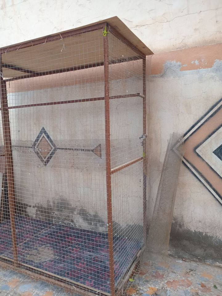 السلام عليكم
بسبب الوعود الكاذبه
ارتفاعه مترتين 
عرض 85
وطول مترتين
والضهر سيم  مربعات خشن
الاستفسار اكثر خاص متواجد فيس
مع ملحقاته
الاستفسار***********اتصال او تم راسلك  
 اخوان المو شراي لا يراسل رجائن
