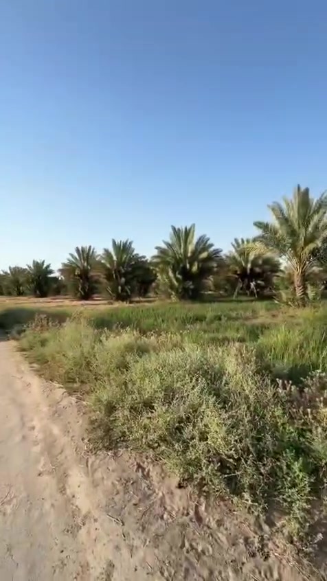 التواصل والاستفسار 
اتصال و واتساب 

***********
