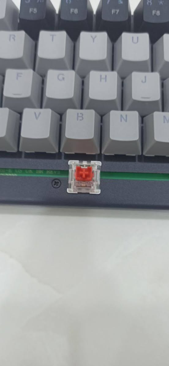 شباب كيبورد ميكانيك سوجات حمر من اسرع السوجات بلكيبوردات
سعره فقط 28الف قفل قفل

والتوصيل مجاني على حسابي منا ليوم السبت


**إذا كنت صاحب هذا الإعلان وتريد حذفه لأي سبب، رجاءا أرسل رسالة إلى الدعم الفني**