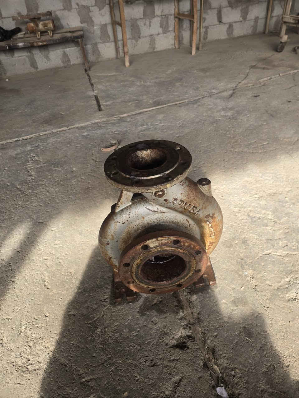 للبيع خنزيرة 5x4  المانية  السعر ٣٠٠ الف العنوان حدودواسط بغداد قرب سيطرة الج  اسيا *********** اثير ***********
