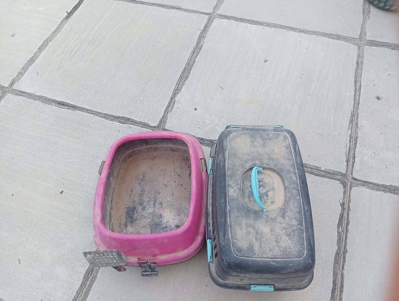 للبيع عنوان حله جمجمة


**إذا كنت صاحب هذا الإعلان وتريد حذفه لأي سبب، رجاءا أرسل رسالة إلى الدعم الفني**