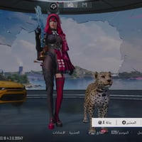 لفل ٨٠ • بريد فقط • وجه لوجه