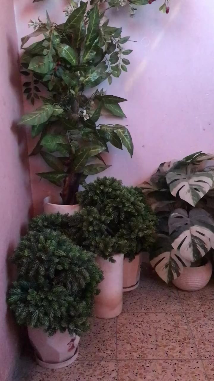 للبيع اي استفسار ع الرقم بي واتس الموشراي ليتعبنه رجاءا  مكلف بالنشر ***********
