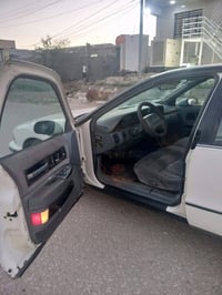 المدير دولفين • ١٩٩١ • بابل المحاويل