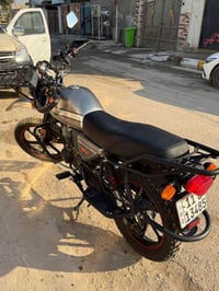 دايون جبلي • موديل 23 • كلجات تعبانه