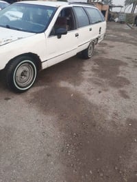 دولفين • ١٩٩٢ • اوراق