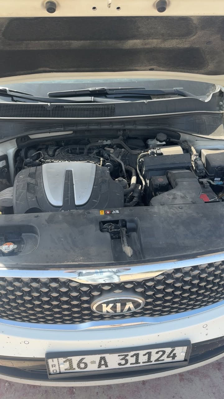 سلام عليكم كيا سورنتو موديل ١٧ خليجي مكفوله كفاله عامه سته اسلندر سبعه فول ماعده بني رامه رقم قادسية إنكليزي مكان سياره بل القاسم سعر ٢٣٧ وبيه مجال حك جيه هذه رقمي ***********
