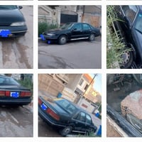 برنس • ٩٥ • رقم بغداد