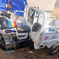 ستوته • موديل 2019 • اوراق اصولي