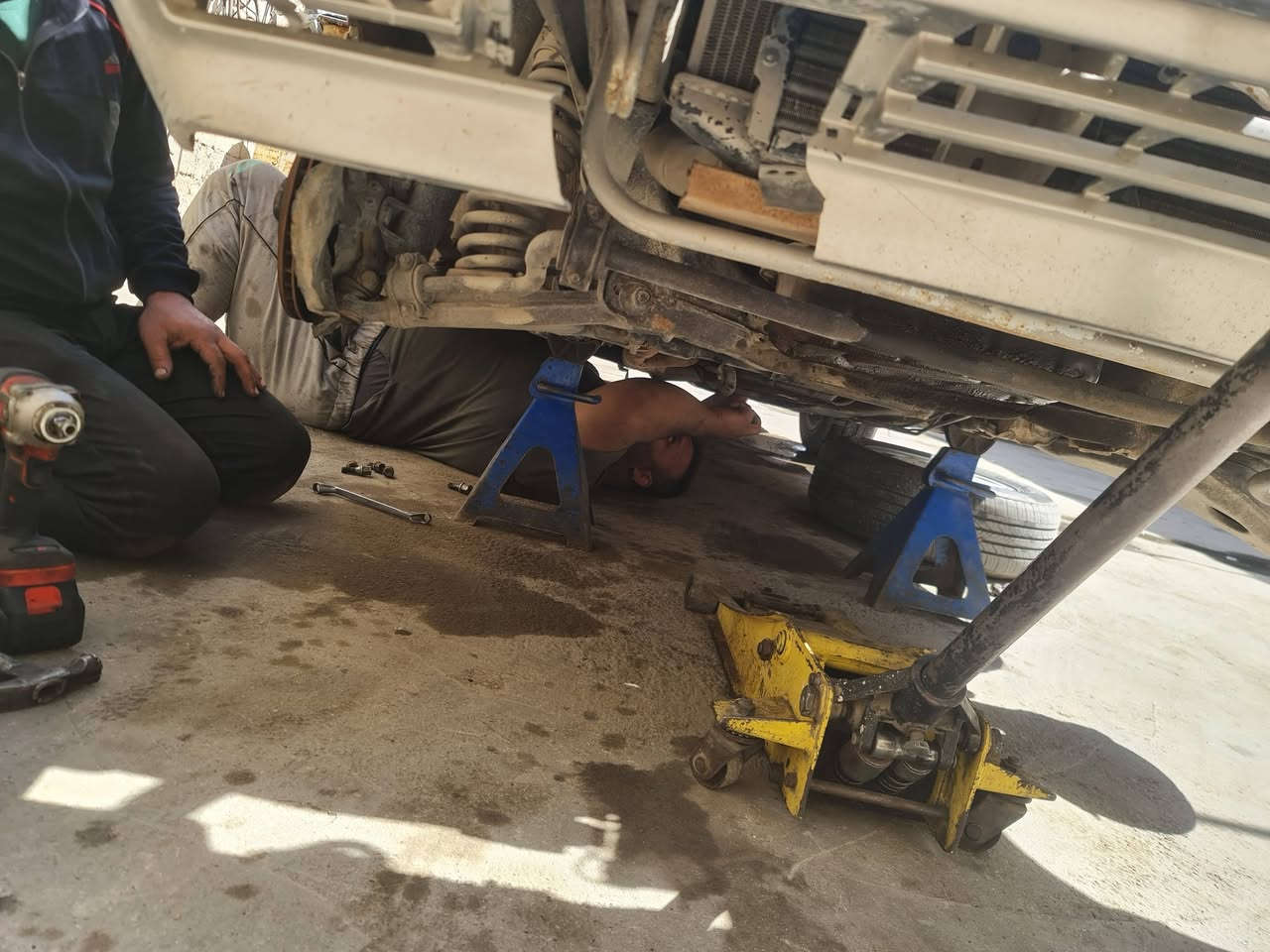 الشغل الصحيح بل مكان الصحيح.
لا تتعب وتحير ودور اليوم.
أخذ سيارتك الصہٰٰٖديہٰٰٖق الوفہٰٰٖي ۦ٭ۦٰ۪۫ۦ
عباس ابو محمد انت مرتاح وراسك بارد.
بين قوسين (ملك السيارات الألمانية)
بإنسب الأسعار. وشغل ذمه ضمير درجة اولى.
يشتغل ينطيك ظمان
كل شي يخص سيارات صدر امامي خلفي حبشكلات
شرط يشتغل سيارت حديثه وقديمه
شغلة بيده مكانه بغداد أبو غريب نصر وسلام.
تروح تتونس بل شغل تصل علي متواجد كل أيام.

رقم عباس ابو محمد
 ***********
***********
