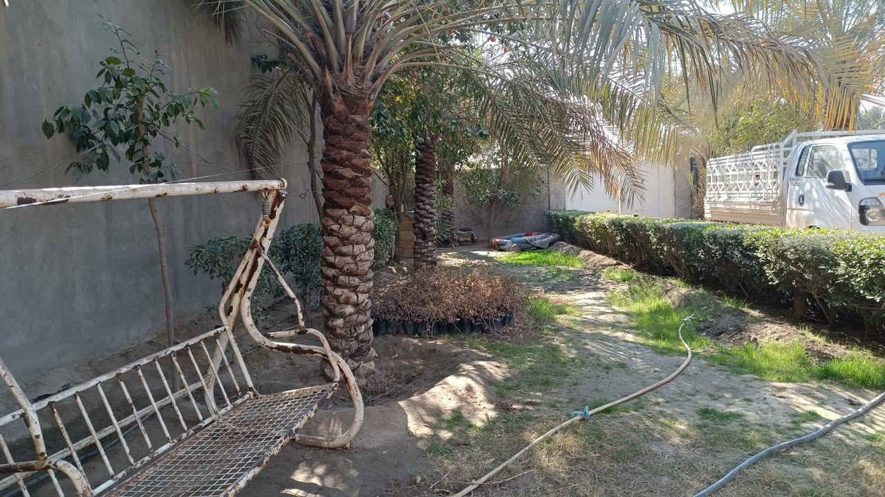 بيت للبيع مساحه 700متر ملك صرف مع أثاثه ومع شاطيه 500 متر ومع احواض سمك مع نخل مكتوم  حله سياحي جمعيات السعر 270 وبي مجال ***********
